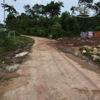 фото из отзыва ID 1764133