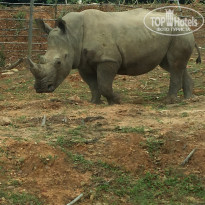 фото из отзыва ID 1764133