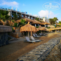 фото из отзыва ID 1768285