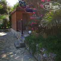 фото из отзыва ID 1768285