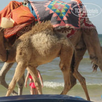 фото из отзыва ID 1768295