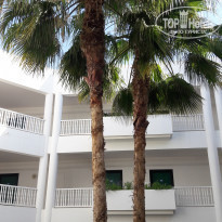 фото из отзыва ID 1768302