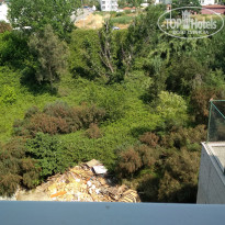 фото из отзыва ID 1768310