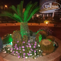 фото из отзыва ID 1768321