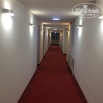 фото из отзыва ID 1768358