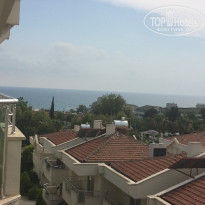 фото из отзыва ID 1768375