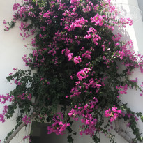 фото из отзыва ID 1768390