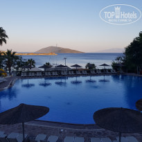 фото из отзыва ID 1768617