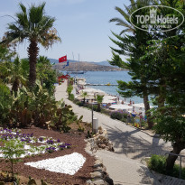 фото из отзыва ID 1768617