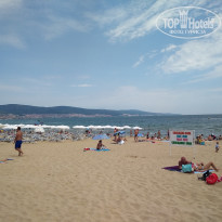 фото из отзыва ID 1768626