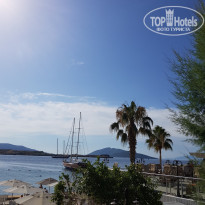 фото из отзыва ID 1768617