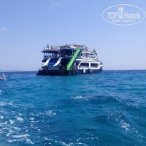 фото из отзыва ID 1768663