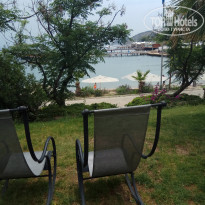 фото из отзыва ID 1768728