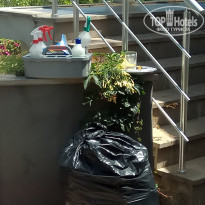 фото из отзыва ID 1768728