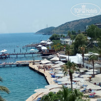 фото из отзыва ID 1768728