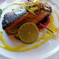 фото из отзыва ID 1763535