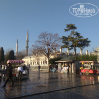 фото из отзыва ID 1768832