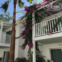 фото из отзыва ID 1768847