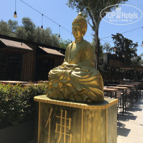 фото из отзыва ID 1768847