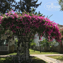 фото из отзыва ID 1768847