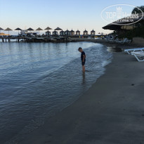 фото из отзыва ID 1768860