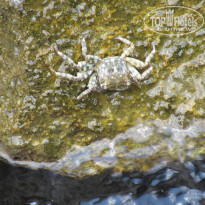 фото из отзыва ID 1767753