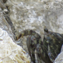 фото из отзыва ID 1767753