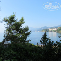 фото из отзыва ID 1767753