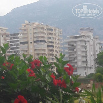 фото из отзыва ID 1769147