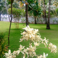 фото из отзыва ID 1769149