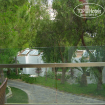 фото из отзыва ID 1769177