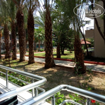 фото из отзыва ID 1769262