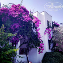 фото из отзыва ID 1769594