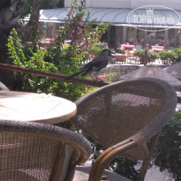 фото из отзыва ID 1769594