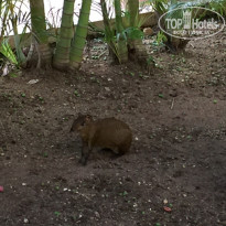 фото из отзыва ID 1769607