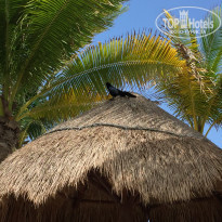 фото из отзыва ID 1769607