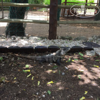 фото из отзыва ID 1769607