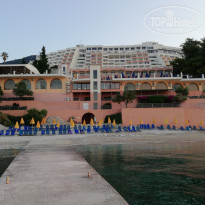 фото из отзыва ID 1769643