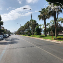 фото из отзыва ID 1769695