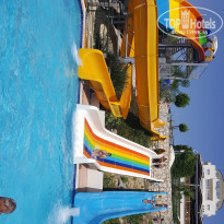 фото из отзыва ID 1768304