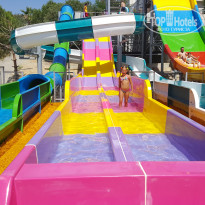 фото из отзыва ID 1768304