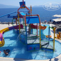 фото из отзыва ID 1768304