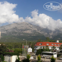 фото из отзыва ID 1769794