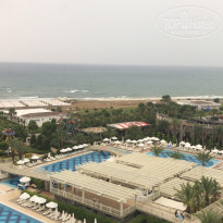 фото из отзыва ID 1769921