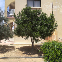 фото из отзыва ID 1767813