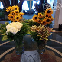 фото из отзыва ID 1768728