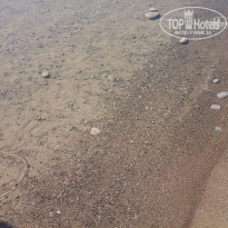 фото из отзыва ID 1765986