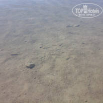 фото из отзыва ID 1765986