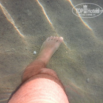 фото из отзыва ID 1765986