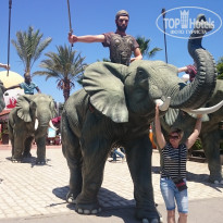 фото из отзыва ID 1767268